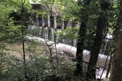 IMG_6910
