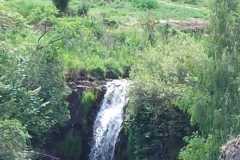 Aubrac 2022