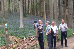 2022 - 04 - 14 - Hallerbos
