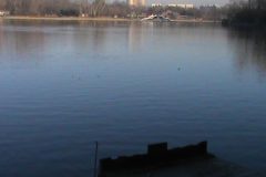 2022-12-15 - Drongen